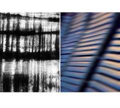 Untitled Diptych 2007 #4