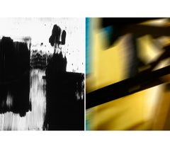 Untitled Diptych 2007 #7