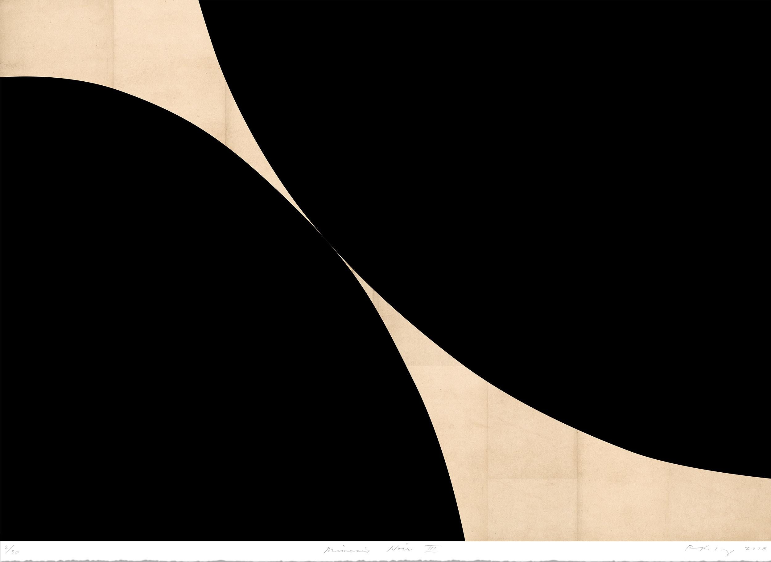 Robert Kelly Abstract Print - Mimesis Noir III #4/30
