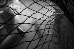 The Return of the Native 2 - underwater, black and white