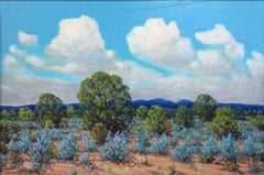 "Cenizo" San Carlos Mexico area Burros Mts. in the Distance