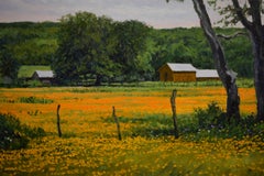 "TEXAS PINWHEELS" TEXAS HILL COUNTRY WILDFLOWERS CLIFF CAVIN FRAME SIZE 32 x 39