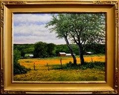 "TEXAS PINWHEELS" TEXAS HILL COUNTRY WILDFLOWERS CLIFF CAVIN FRAME SIZE 32 x 39