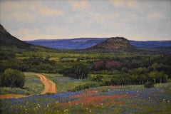 "TEXAS HILL COUNTRY" BLUEBONNETS & PAINTBRUSH SIGNED CLIFF CAVIN FRAME 28 x 39