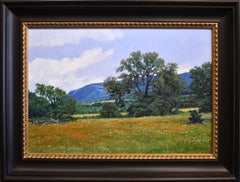 "INDIAN PAINTBRUSH" TEXAS WILDFLOWERS CLIFF CAVIN FRAME SIZE 29 x 39