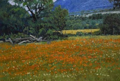 "INDIAN PAINTBRUSH" TEXAS WILDFLOWERS CLIFF CAVIN FRAME SIZE 29 x 39