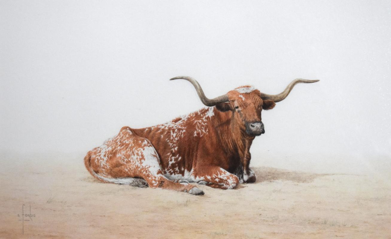Steve Forbis Animal Art - "Texas Longhorn"  Fantastic Colored Pencil Drawing.