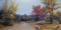 "Hill Country Road"   Texas Fall Scene