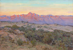 Desert Sunshine, Galiuro Mountain, S.E. Arizona