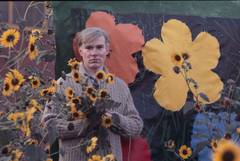 Retro Warhol Flowers ll