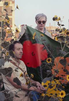 Retro Warhol Flowers XVll
