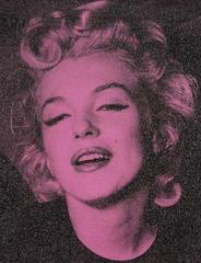 Marilyn "Hope" Persian Rose
