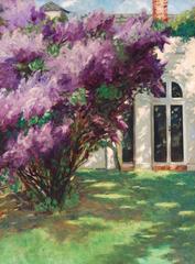 Lilacs