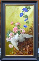 The White Dove