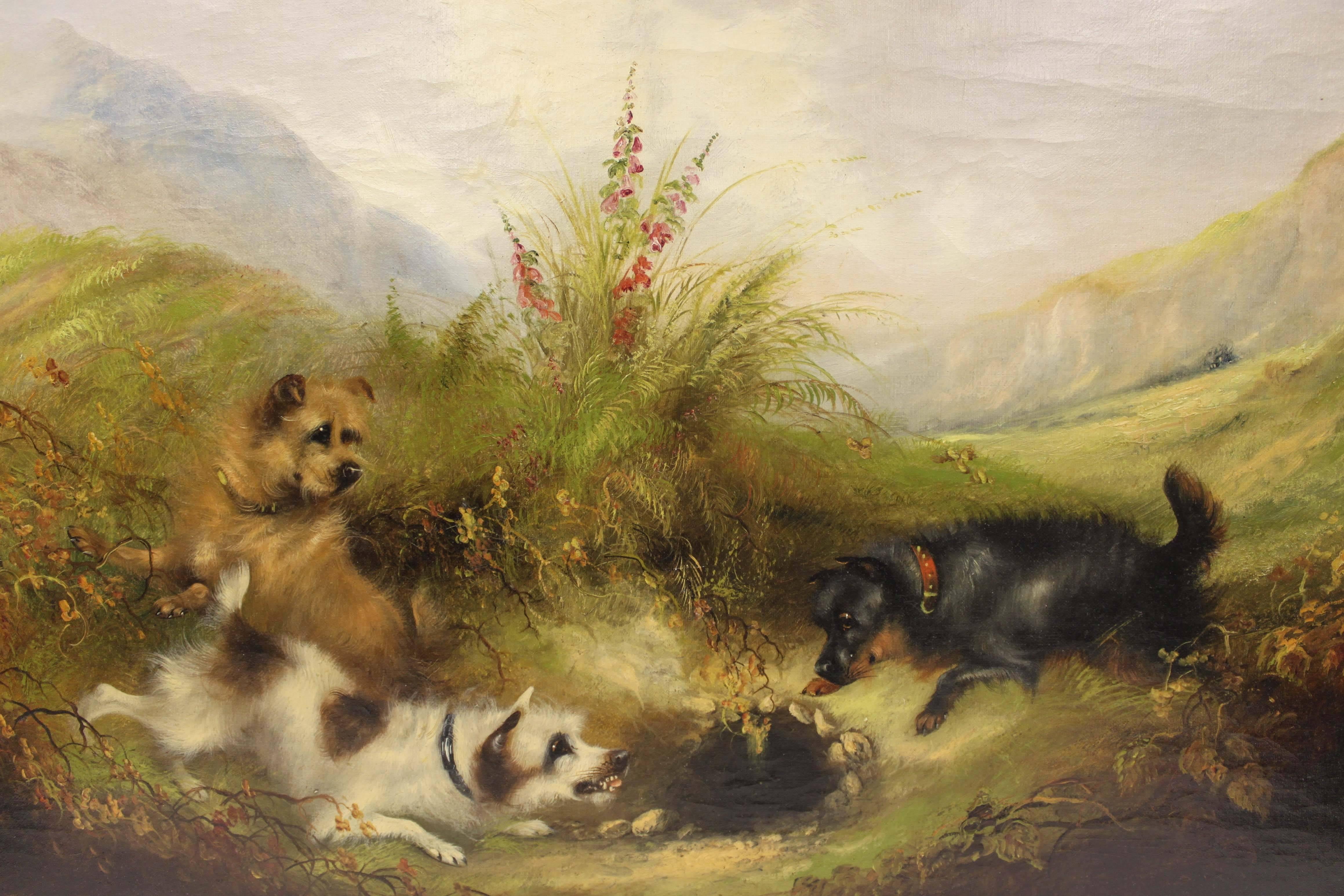 Terriers Rabbiting - Painting by Frank W. Cassell