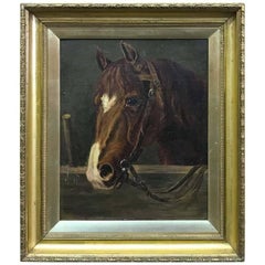 Horse Portrait