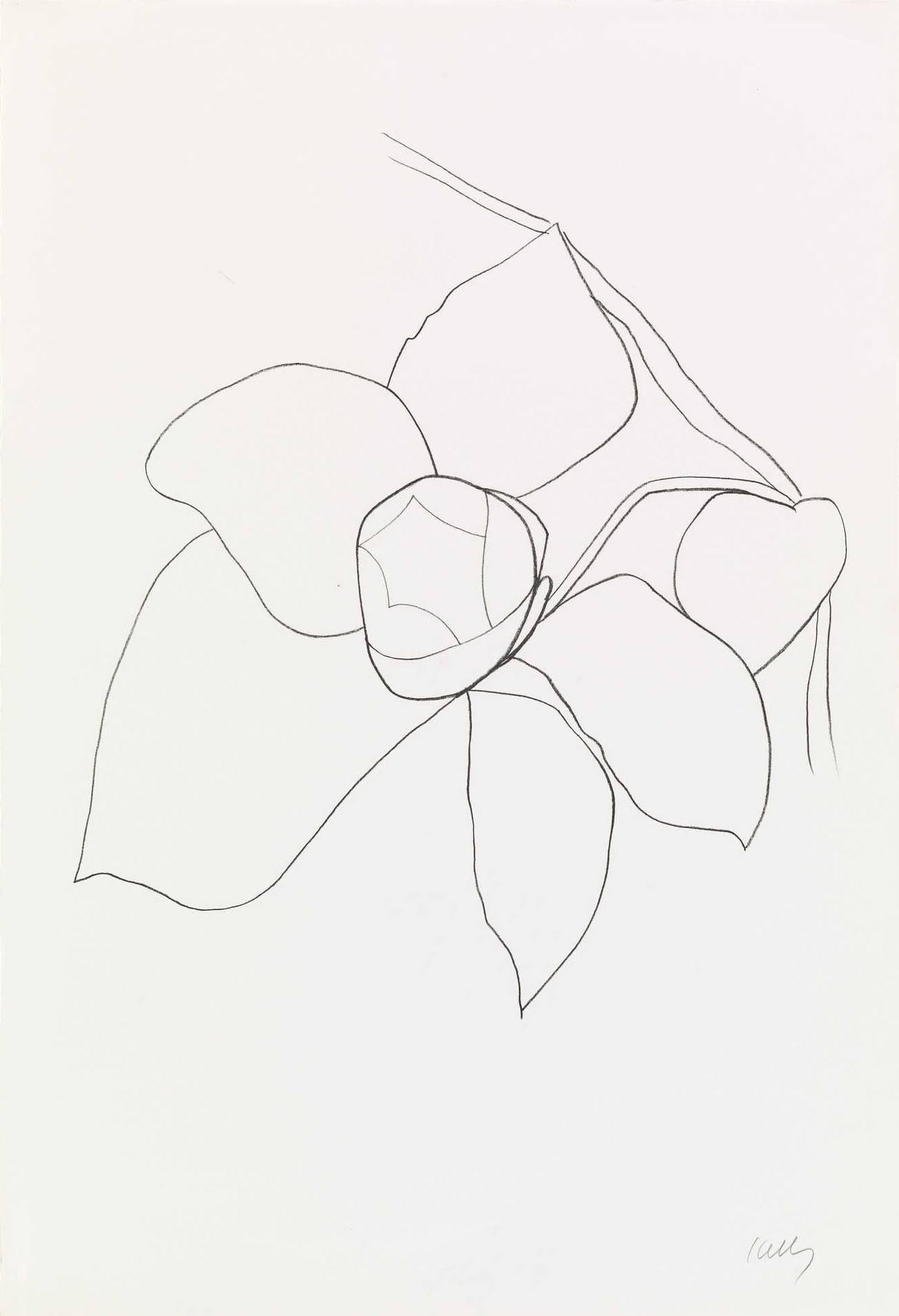 Ellsworth Kelly Abstract Print - Camellia II