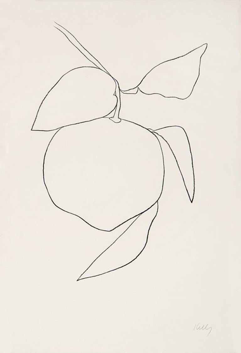 Ellsworth Kelly Still-Life Print - Tangerine