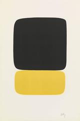 Black over Yellow 6