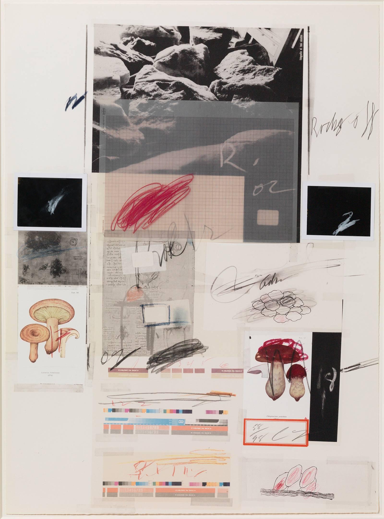 Cy Twombly Abstract Print – Naturgeschichte Teil I: Nr. X