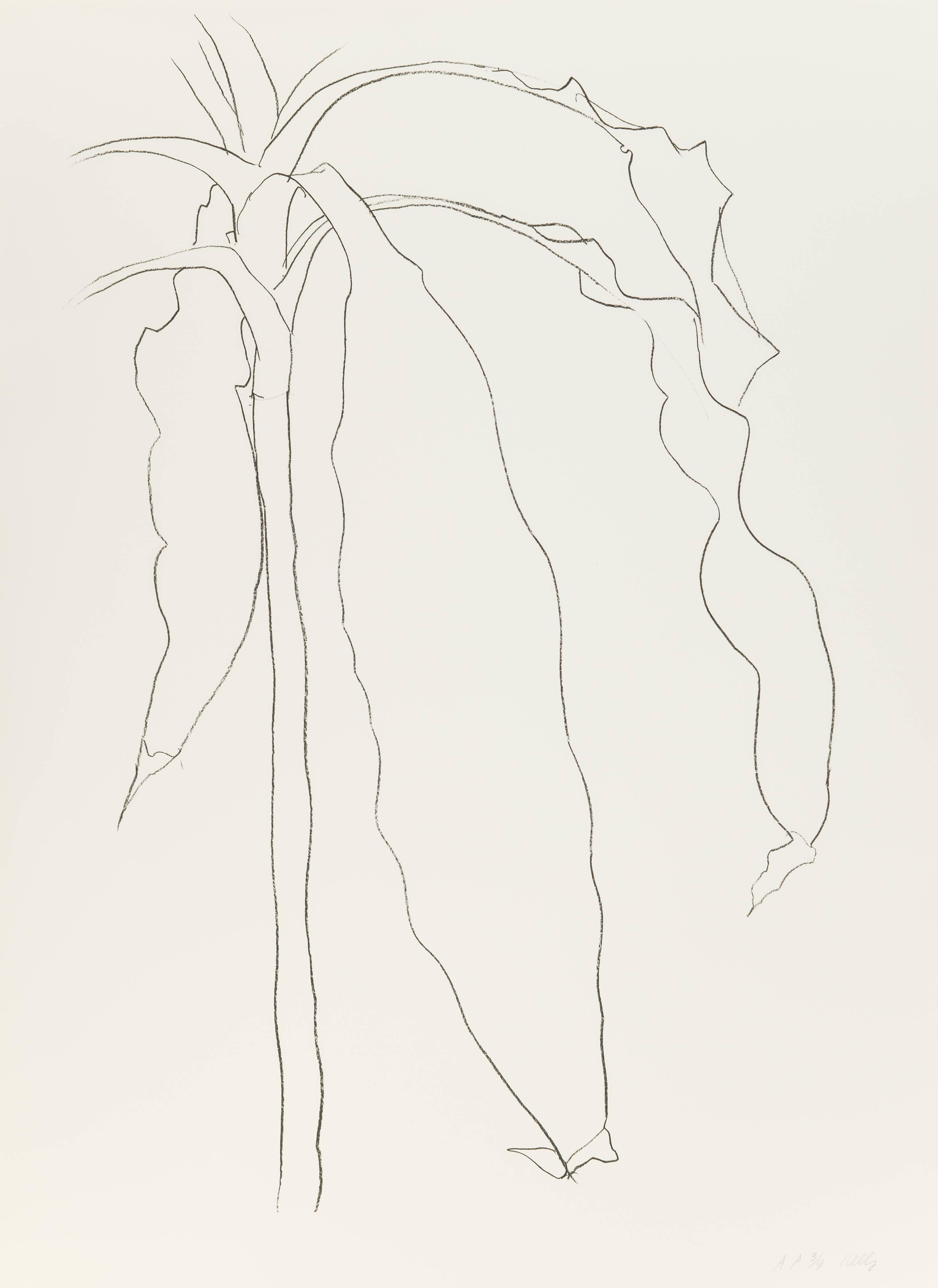 Ellsworth Kelly Still-Life Print - Dracena I