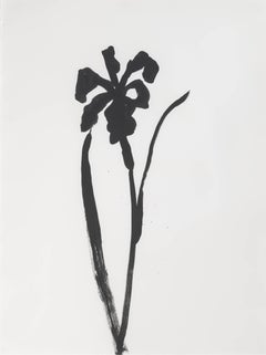 Siberian Iris
