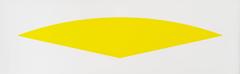 Yellow Curve 11