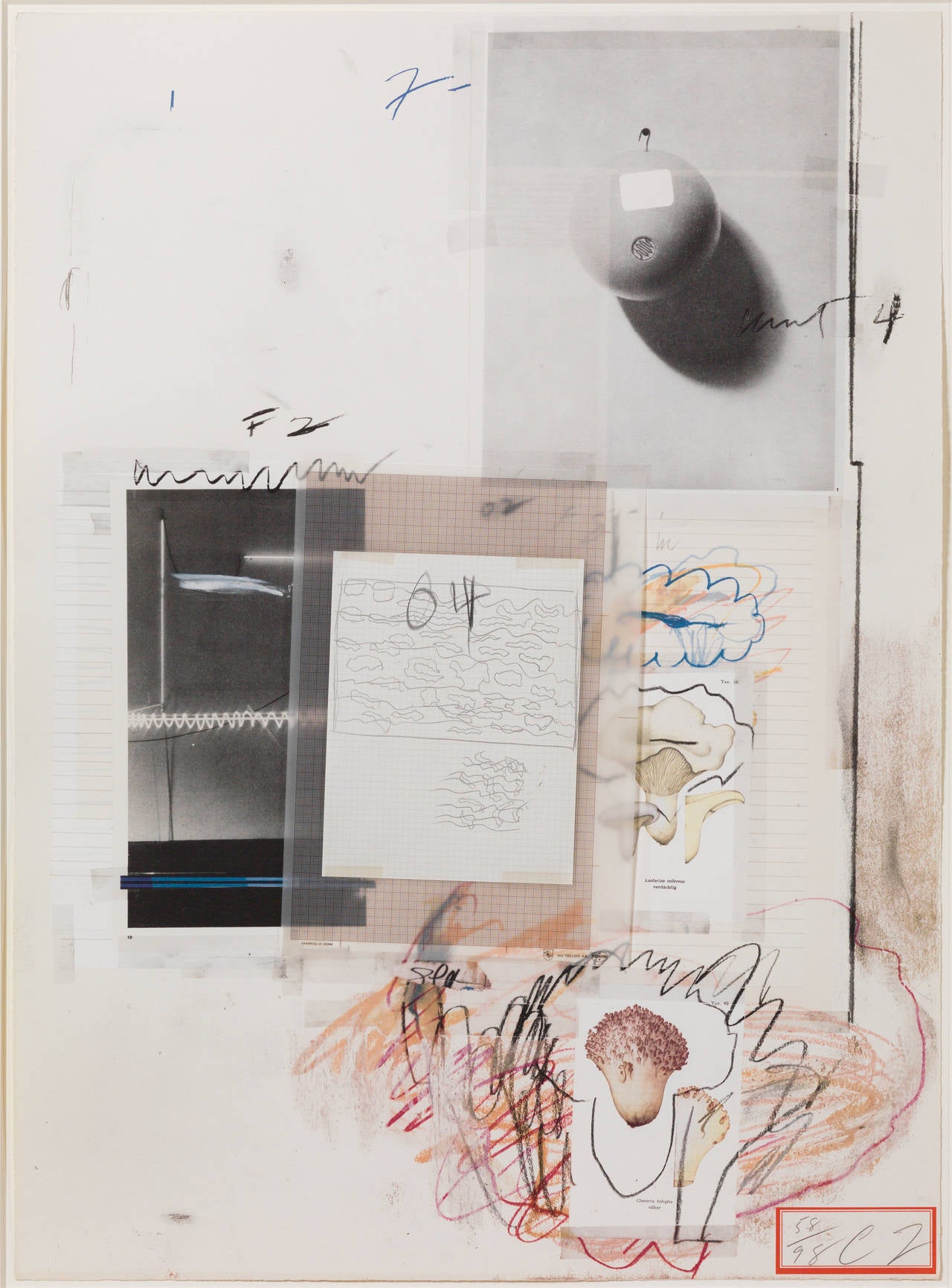 Natural History Part I: No. VIII - Print by Cy Twombly