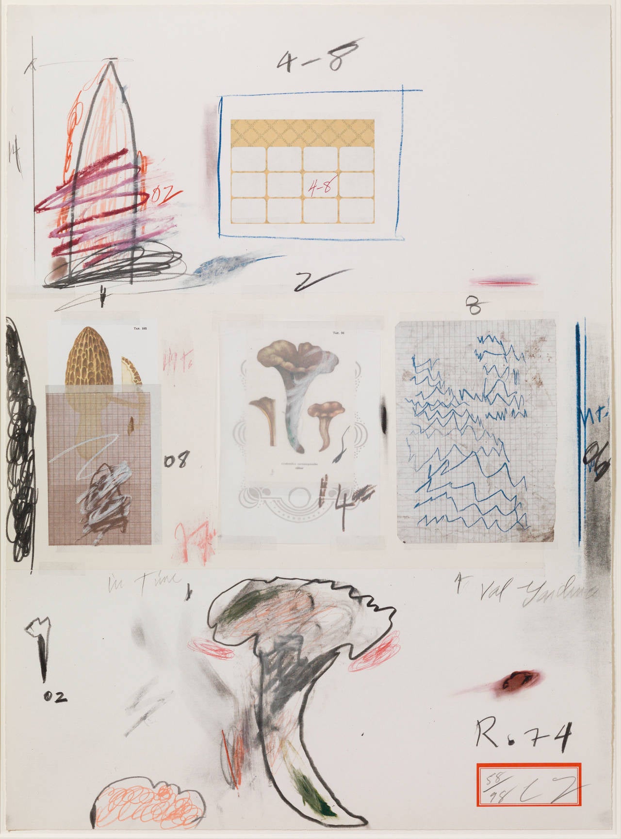 Natural History Part I: No. VI - Print by Cy Twombly