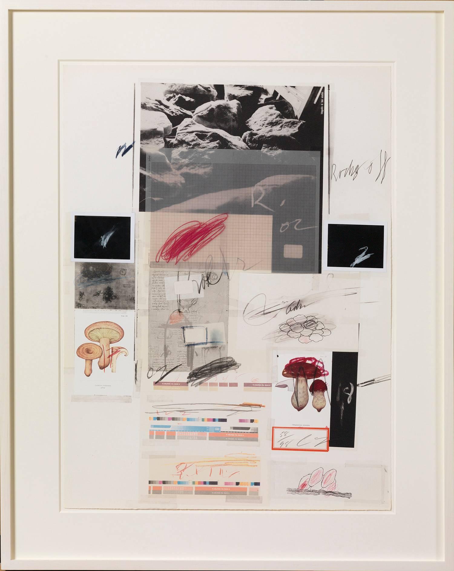 Naturgeschichte Teil I: Nr. X – Print von Cy Twombly