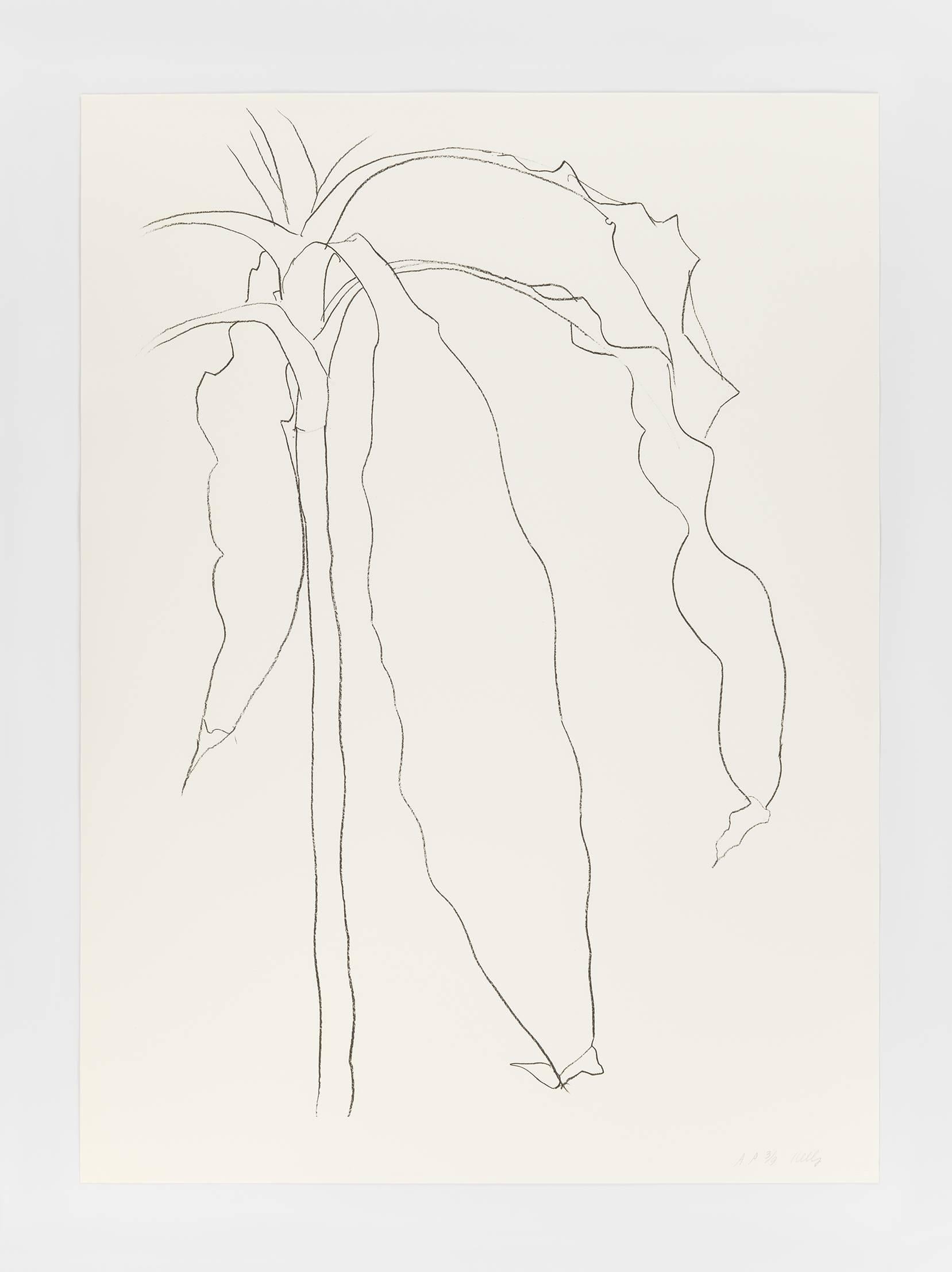 Dracena I - Print by Ellsworth Kelly