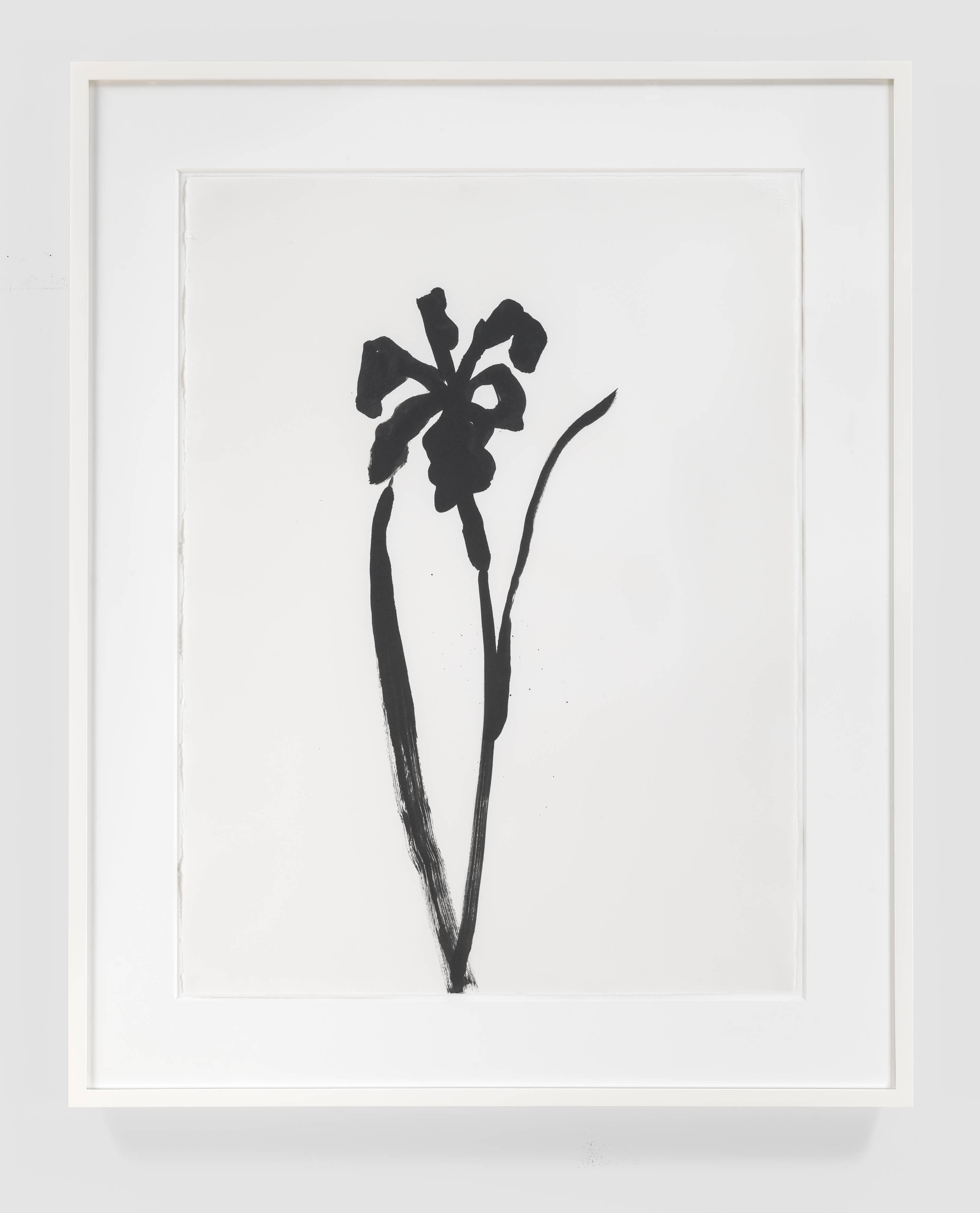 Siberian Iris - Art by Ellsworth Kelly