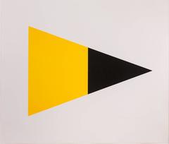 Black/Yellow 3