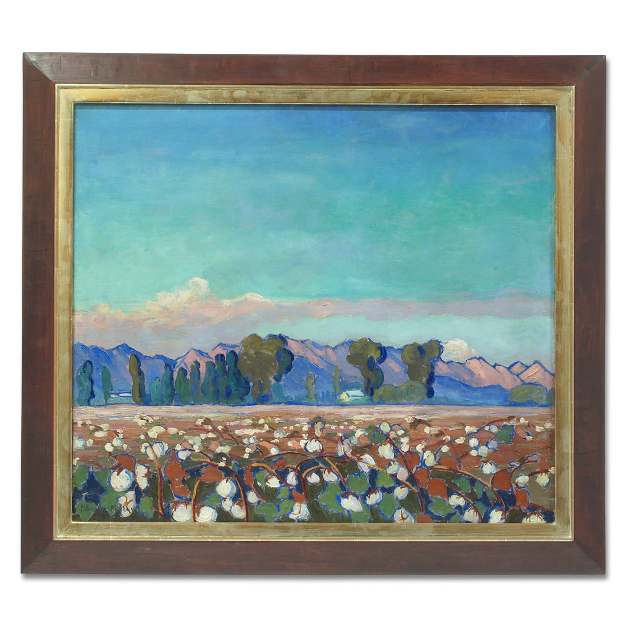 California Cotton Fields