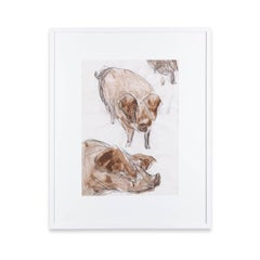 21st Century Mixed Media on Paper of Pigs by Barbara Karn 
