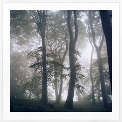 Joe Dilworth, Rügen Island 2