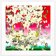 Christina Burch, Matrix of Mystery - Figurative Print