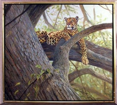 The Great Throne (African Leopard), Oil Wildlife Painting