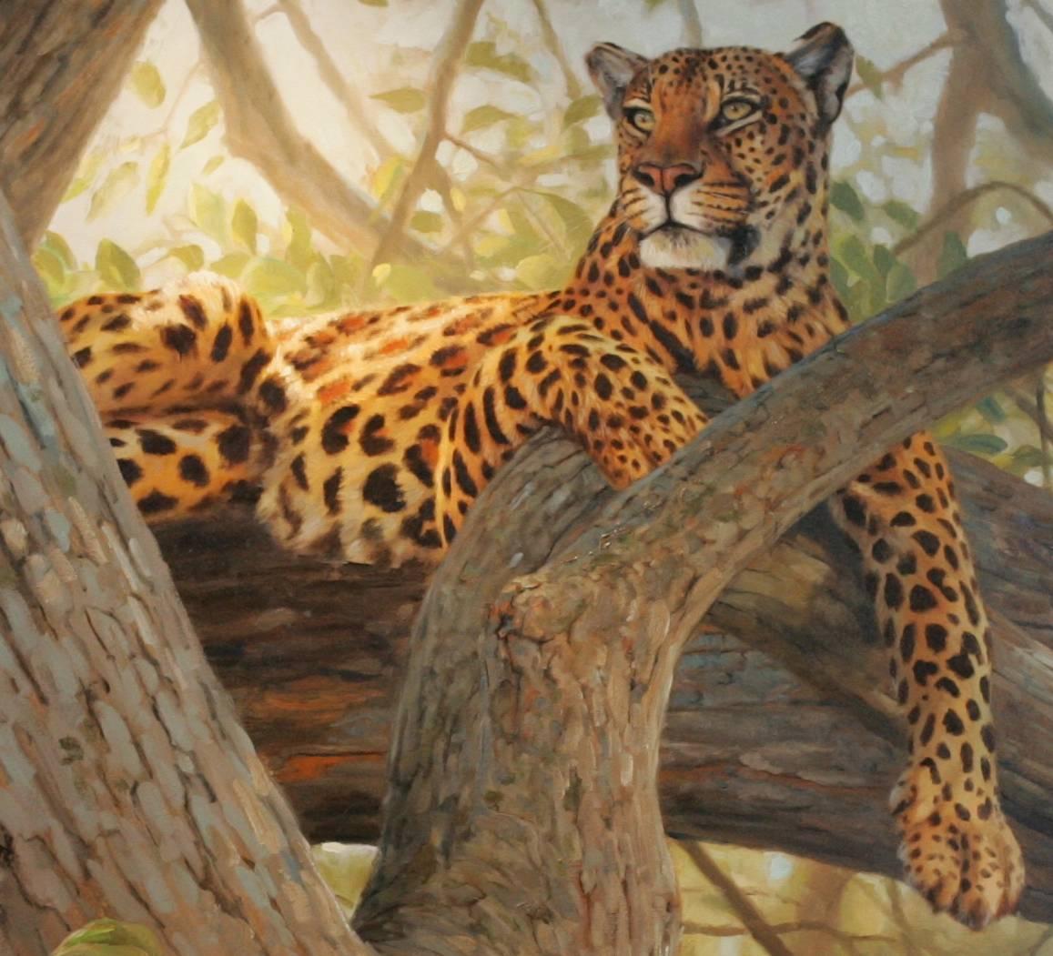 The Great Throne (African Leopard), Oil Wildlife Painting  - Brown Landscape Painting by Grant Hacking