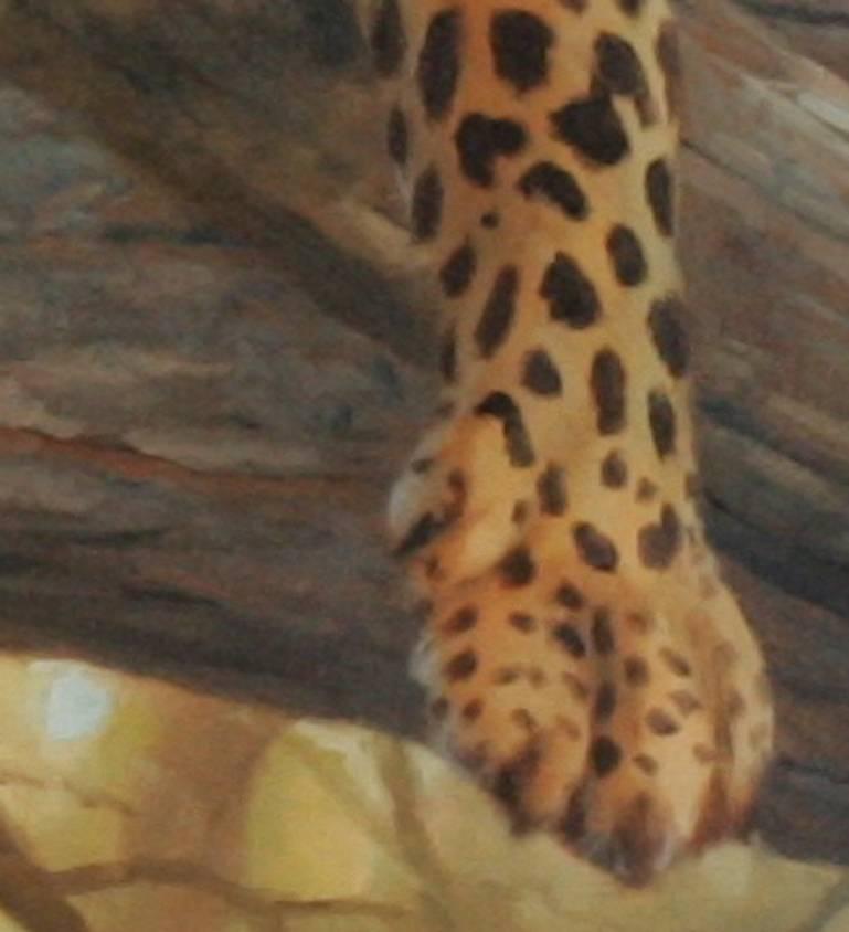 An original, signed wildlife landscape in oil on canvas titled The Great Throne; a painterly yet detailed depiction of the majestic African leopard, in a state of repose on a sturdy limb of the African Sausage Tree. Feel the dry woody texture of the