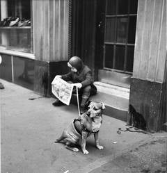 Vintage Young Boy Reading Comics with Dog, NYC