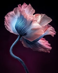 «Botanical Grace», fotografía, impresión con tinta de archivo