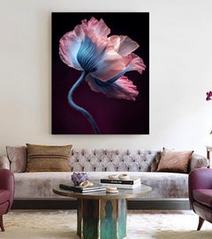 «Botanical Grace», fotografía, impresión con tinta de archivo