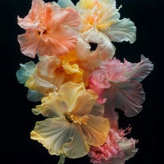 Susurros de color, fotografía, impresión con tinta de archivo