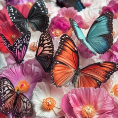 Jardín de Mariposas 75, Fotografía, Chorro de tinta de archivo