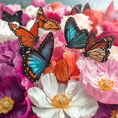 Butterfly Garden 66, Photograph, Archival Ink Jet