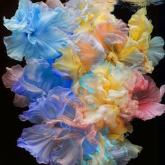 Susurros de color, fotografía, impresión con tinta de archivo