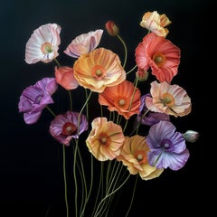 Amapolas 77, Fotografía, Chorro de tinta de archivo