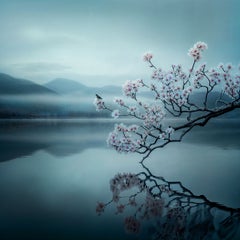 Cherry Blossom 2, fotografía, impresión por inyección de tinta de calidad de archivo