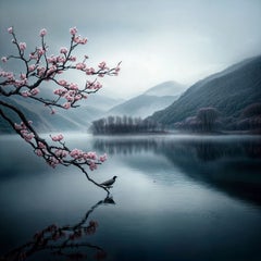 Cherry Blossom 1, fotografía, impresión por inyección de tinta de calidad de archivo